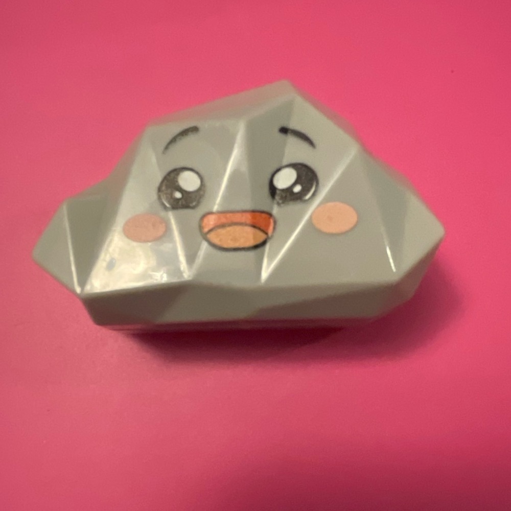 Gray Pet Rock Toy from lanky box